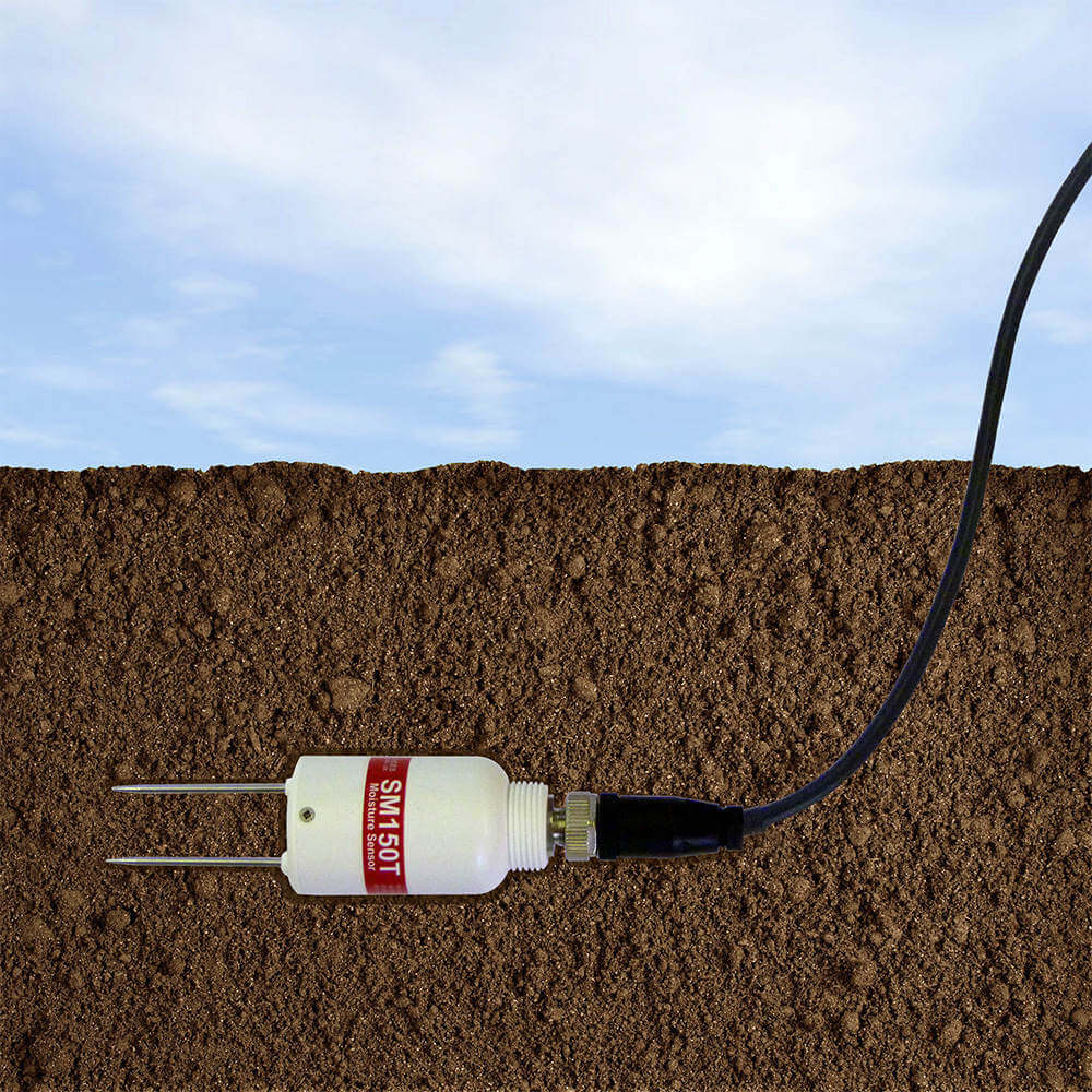 Soil moisture probe for trees image