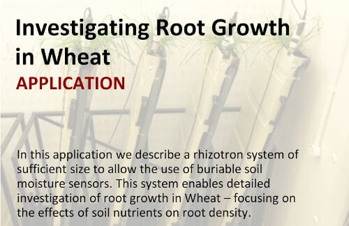 investigating-root-growth-small